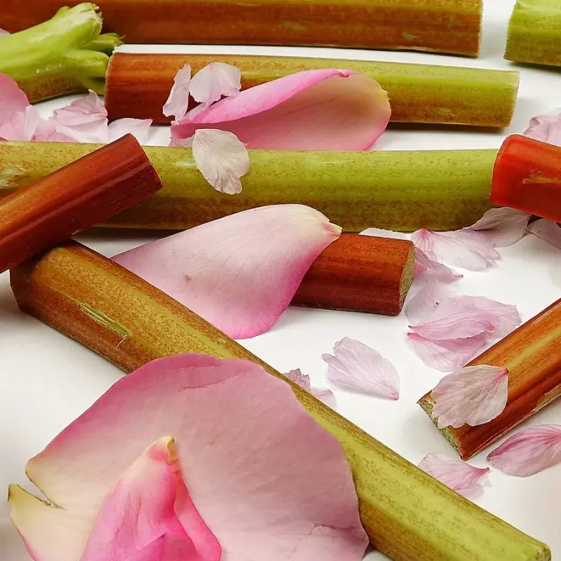 Rhubarb & Rose Fragrance Oil V2