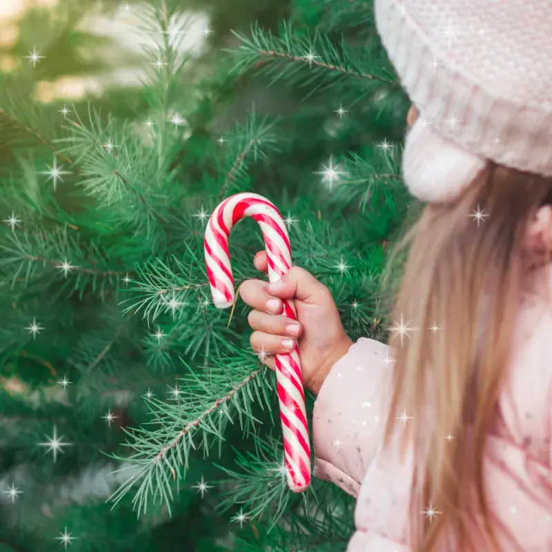 Shimmering Spruce & Peppermint Fragrance Oil