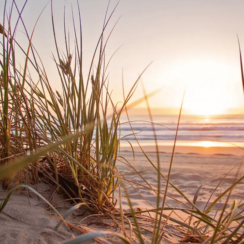 Seychelles Fragrance Oil