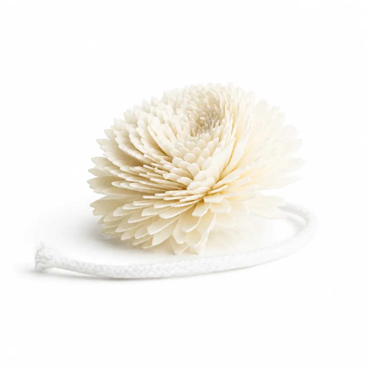 Flower Diffuser Reed - Chrysanthemum Flower Diffuser Reed - Chrysanthemum