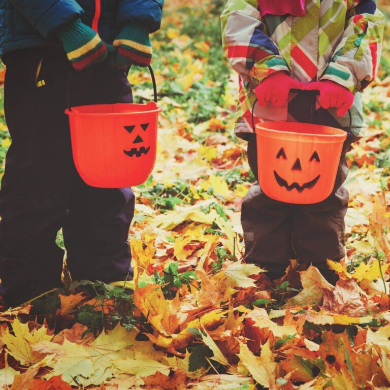 Trick or Treat Fragrance Oil