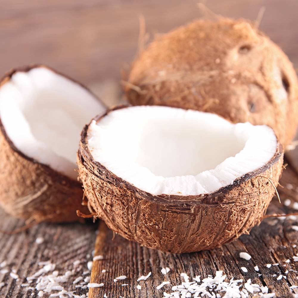 Coconut Fragrance Oil - Allergen Free