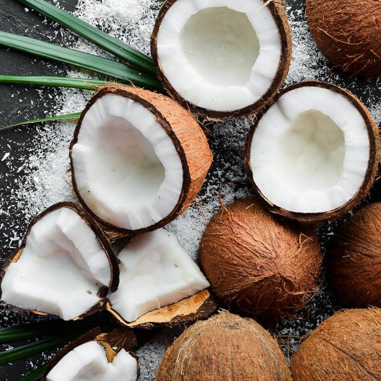 Coconut Fragrance Oil