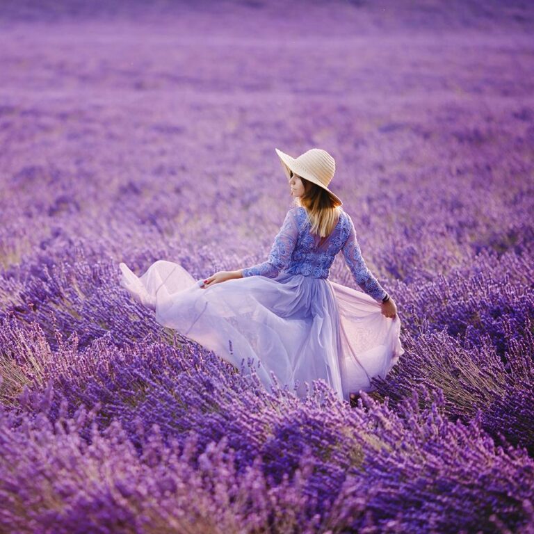 Lavender Breeze ZoFlo Fragrance Oil