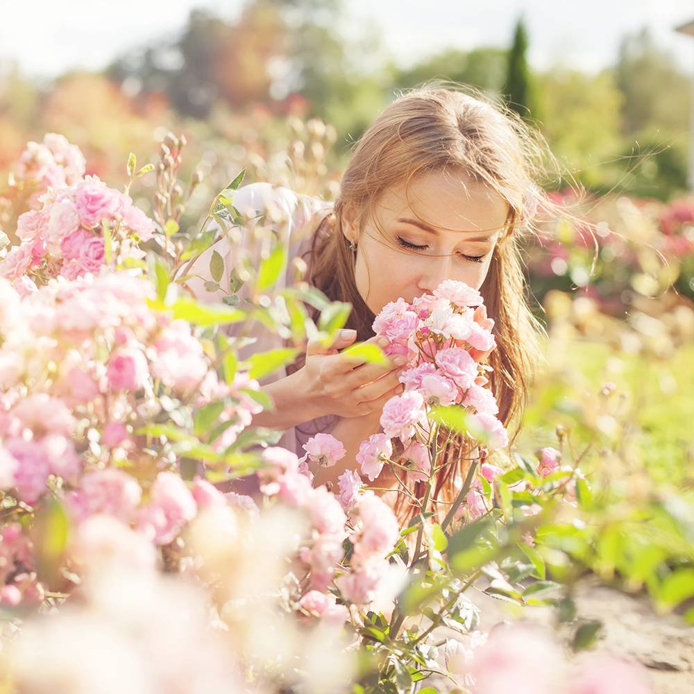Summer Breeze Fragrance Oil