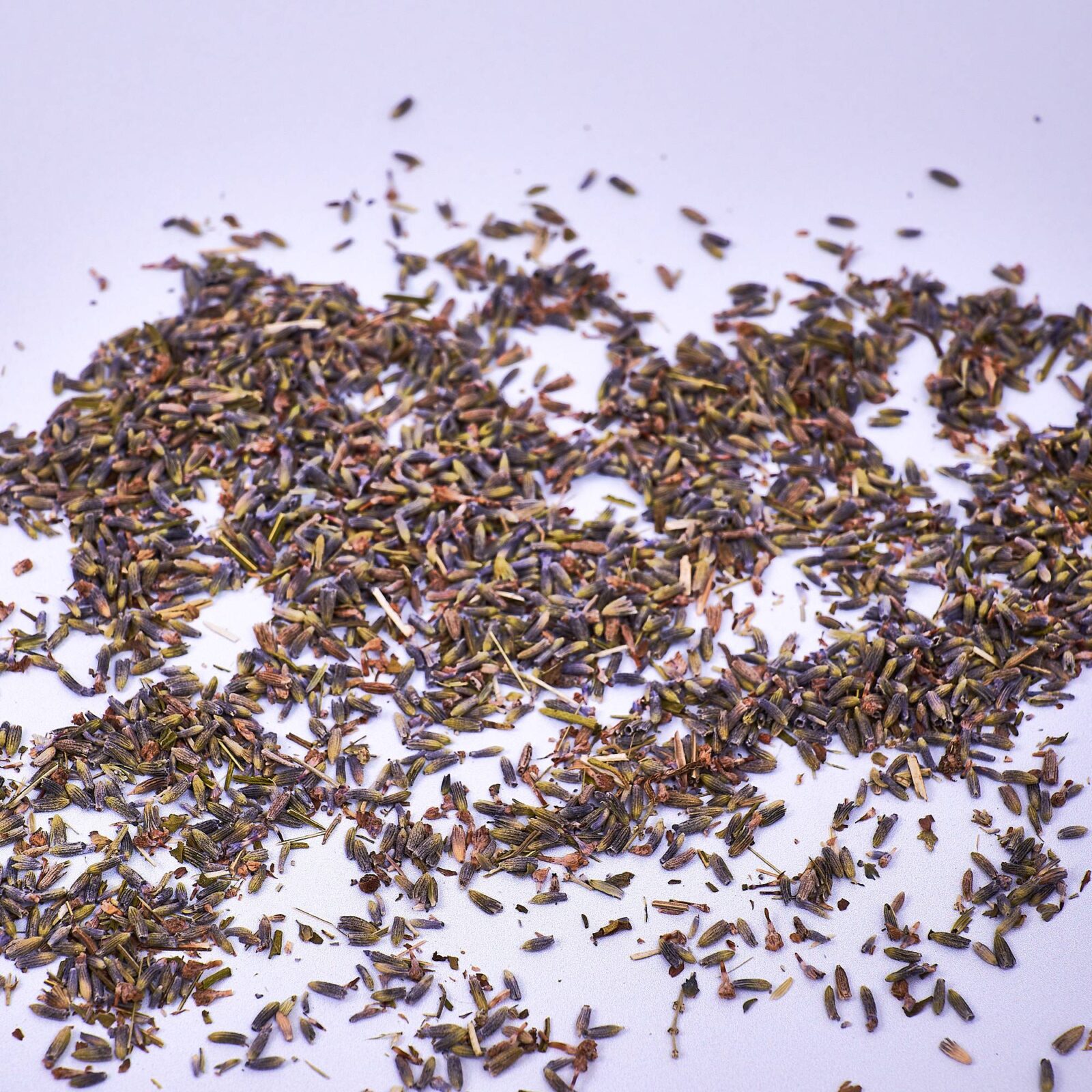 Lavender Flowers - Dried