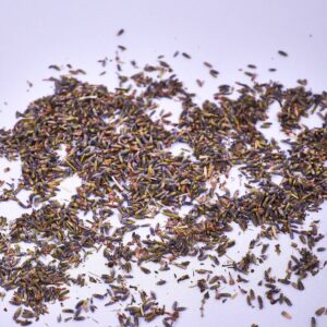 Lavender Flowers - Dried
