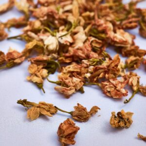 Jasmine Flowers