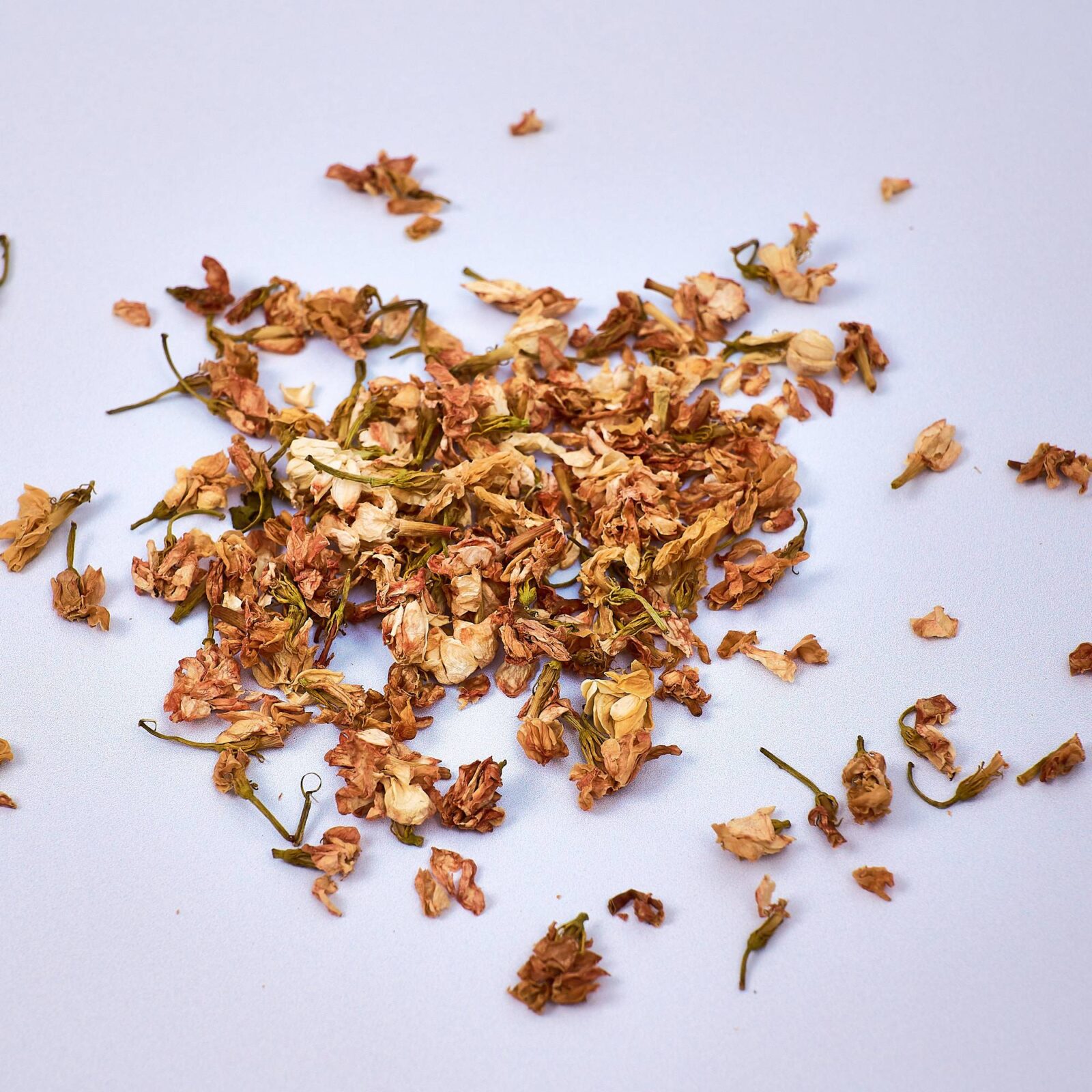Jasmine Flowers