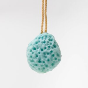 Small Sponge - Blue