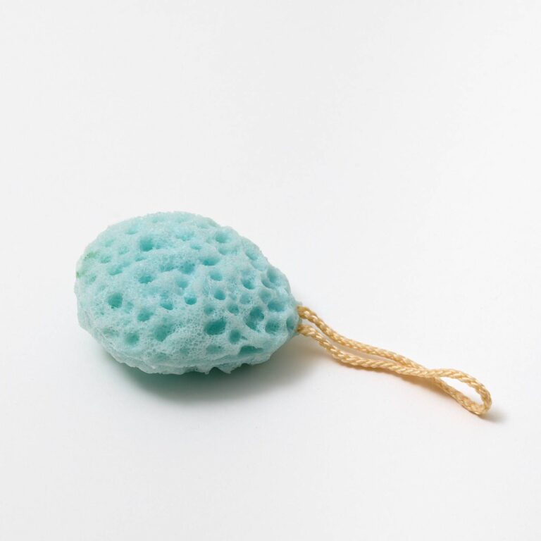 Small Sponge - Blue