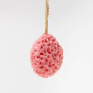 Small Sponge - Pink