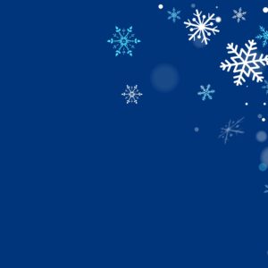 Winter Sale