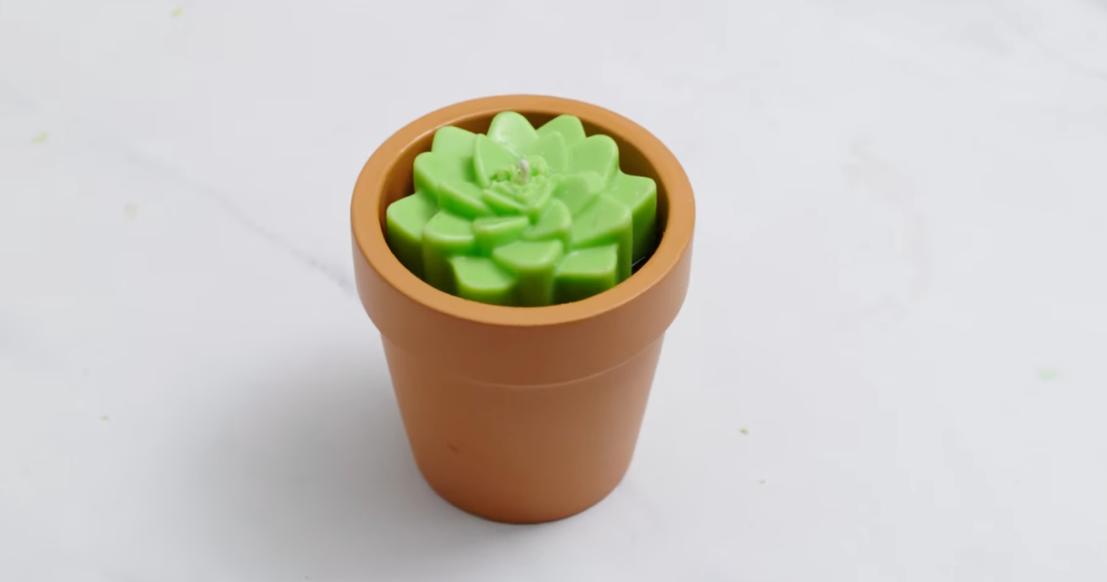 cactus candle